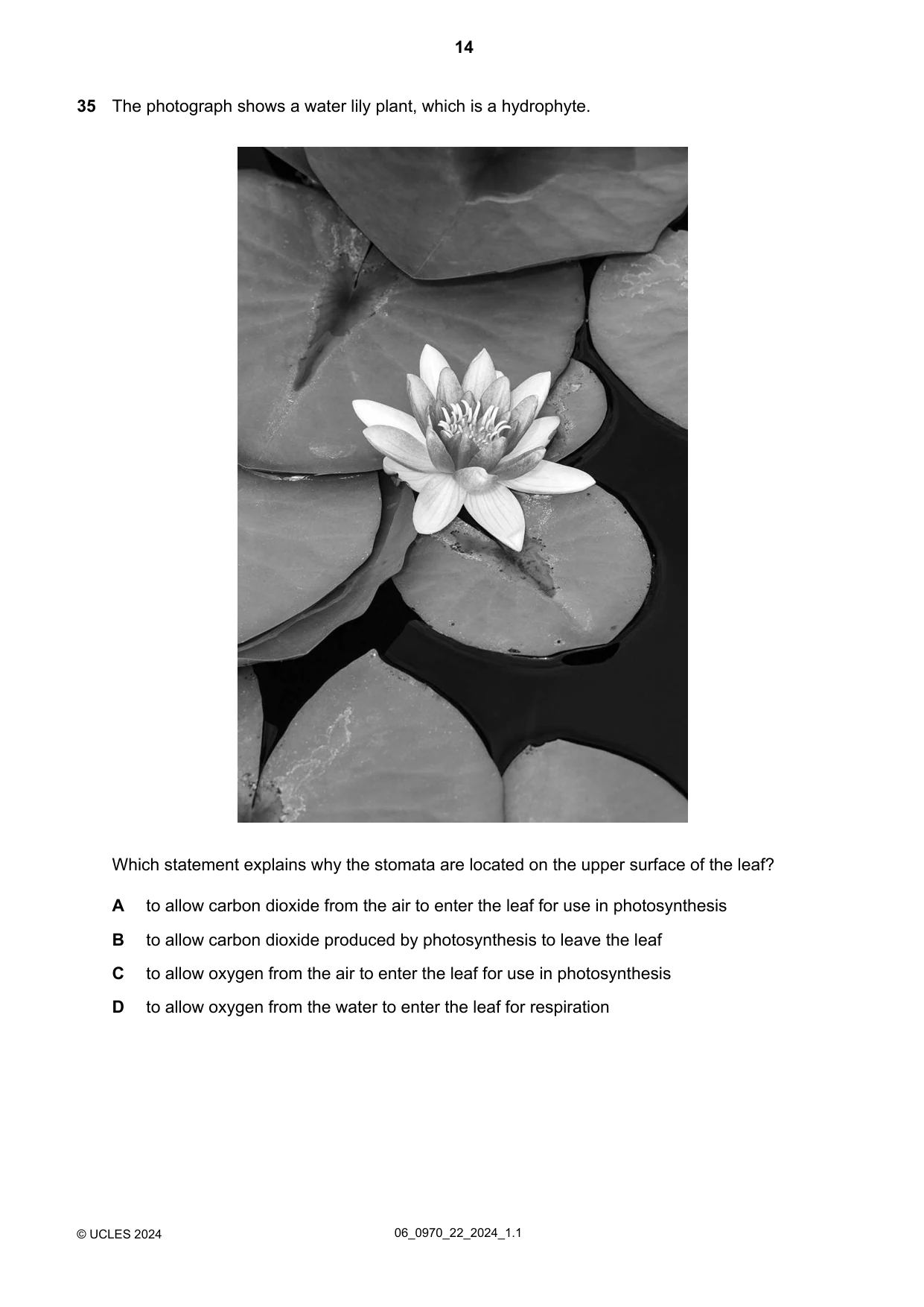 Cambridge IGCSE Biology (9-1) 0970 2024 May/June Paper 2 · Variant 2 question paper, page 14 of 16