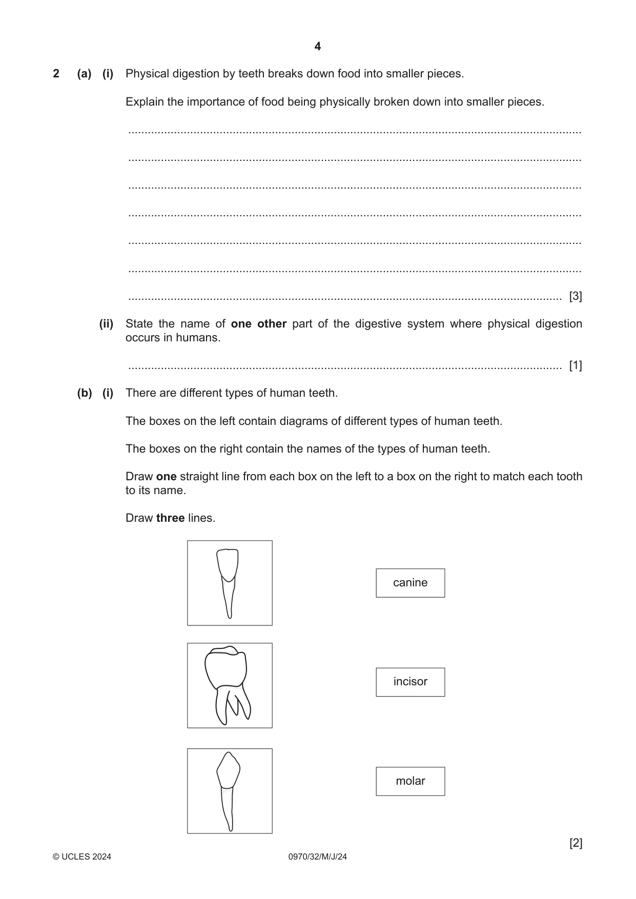 Cambridge IGCSE Biology (9-1) 0970 2024 May/June Paper 3 · Variant 2 question paper, page 4 of 16