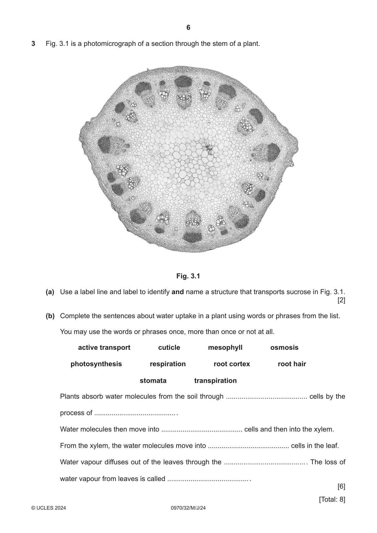 Cambridge IGCSE Biology (9-1) 0970 2024 May/June Paper 3 · Variant 2 question paper, page 6 of 16