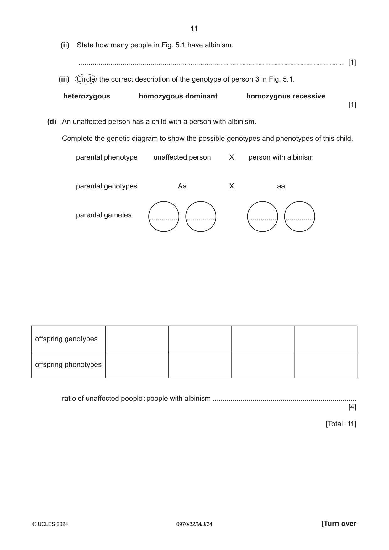 Cambridge IGCSE Biology (9-1) 0970 2024 May/June Paper 3 · Variant 2 question paper, page 11 of 16