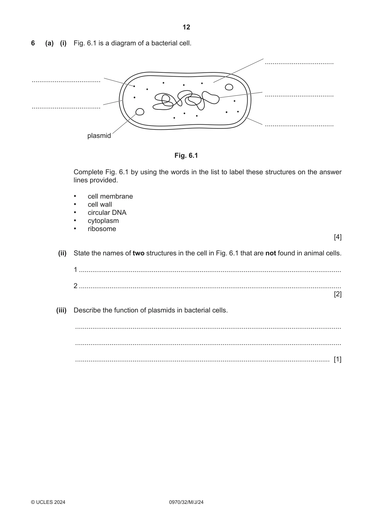 Cambridge IGCSE Biology (9-1) 0970 2024 May/June Paper 3 · Variant 2 question paper, page 12 of 16