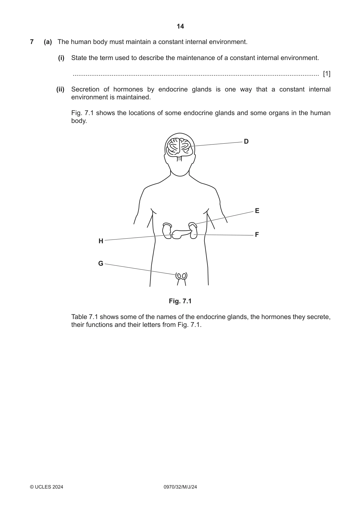 Cambridge IGCSE Biology (9-1) 0970 2024 May/June Paper 3 · Variant 2 question paper, page 14 of 16