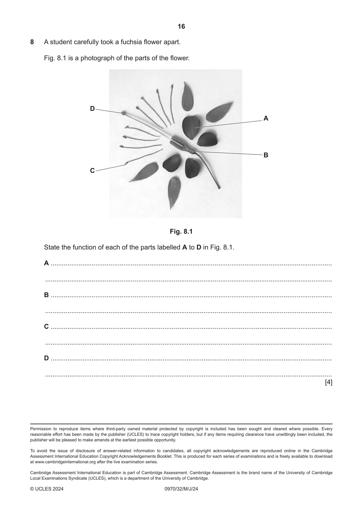 Cambridge IGCSE Biology (9-1) 0970 2024 May/June Paper 3 · Variant 2 question paper, page 16 of 16