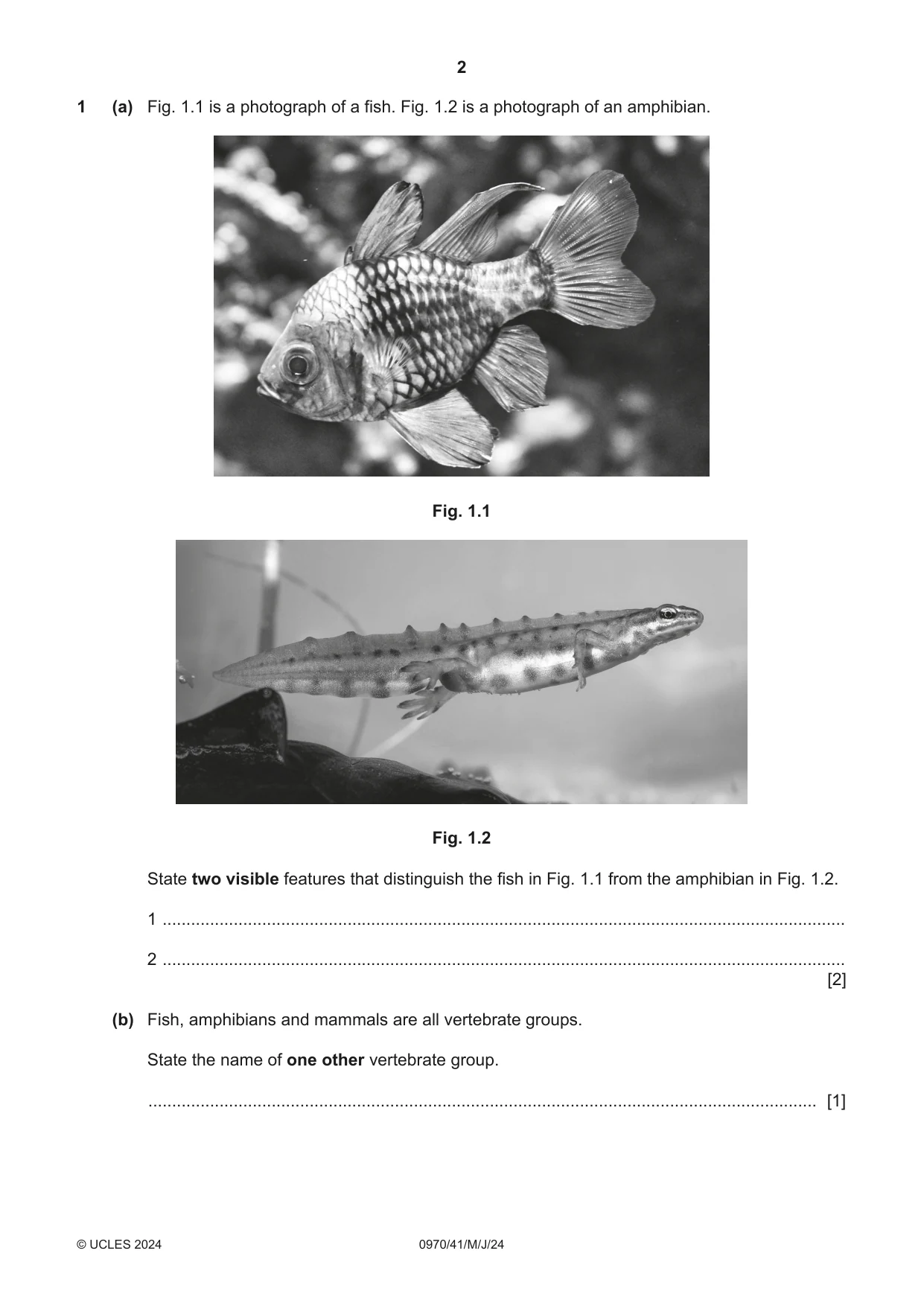 Cambridge IGCSE Biology (9-1) 0970 2024 May/June Paper 4 · Variant 1 question paper, page 2 of 20