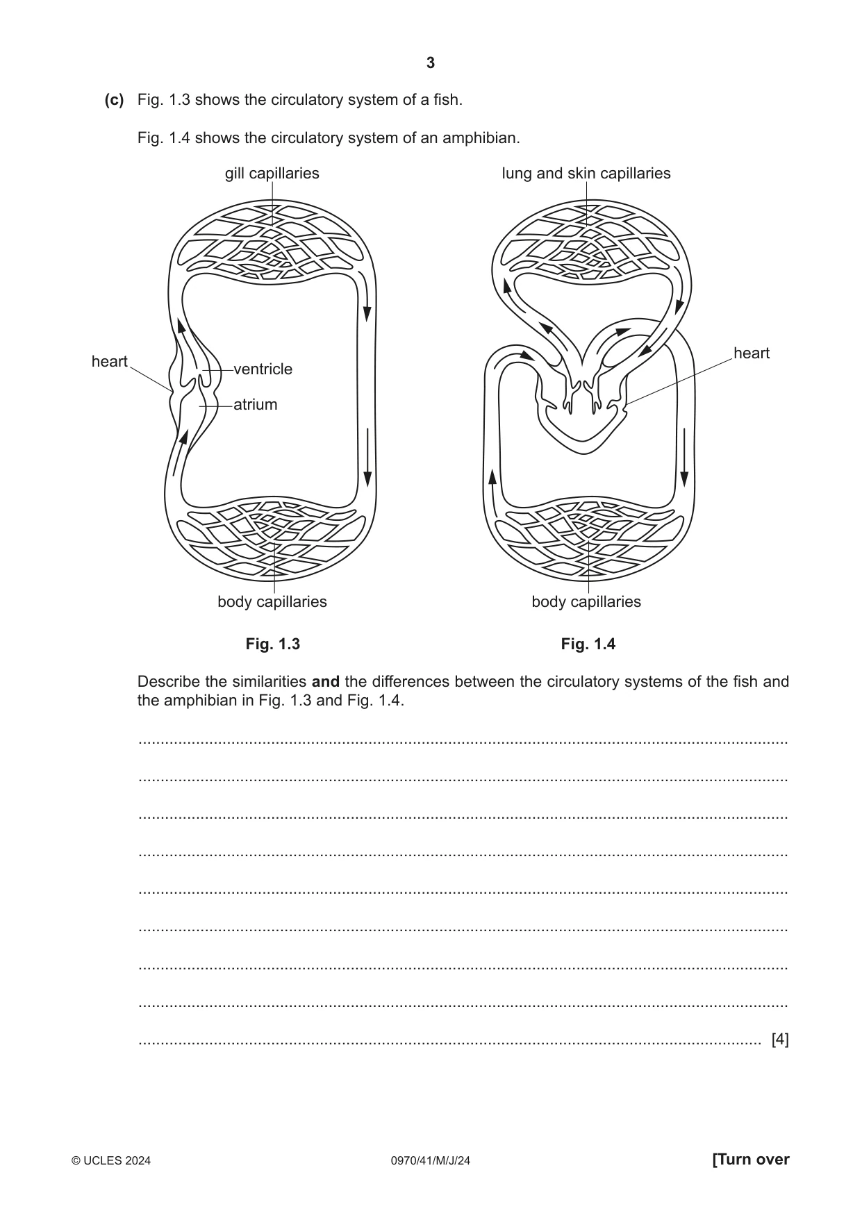 Cambridge IGCSE Biology (9-1) 0970 2024 May/June Paper 4 · Variant 1 question paper, page 3 of 20