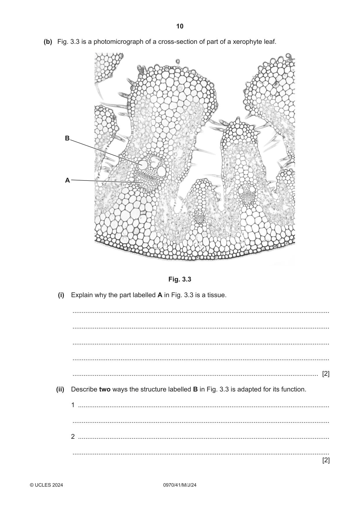 Cambridge IGCSE Biology (9-1) 0970 2024 May/June Paper 4 · Variant 1 question paper, page 10 of 20