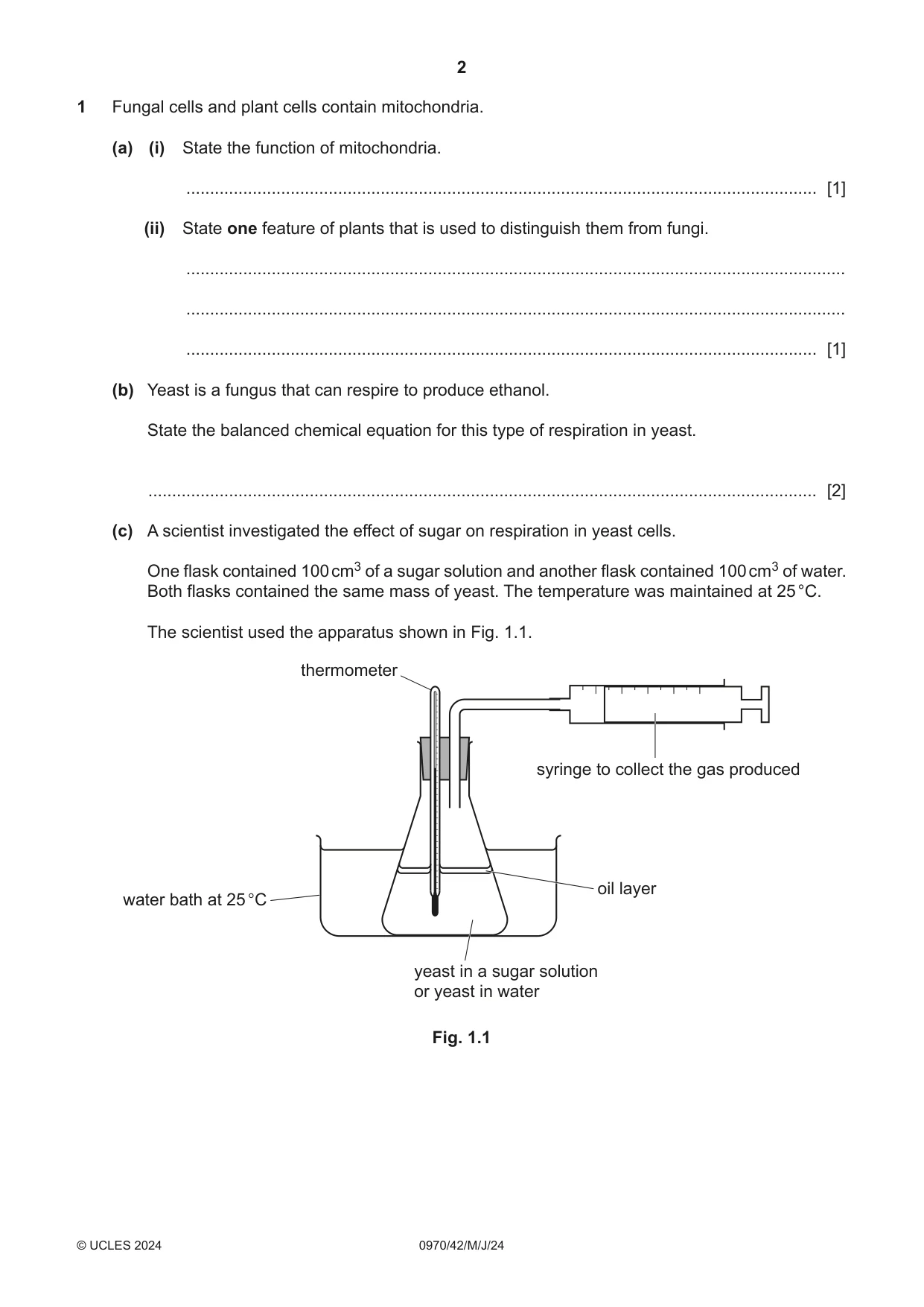 Cambridge IGCSE Biology (9-1) 0970 2024 May/June Paper 4 · Variant 2 question paper, page 2 of 20
