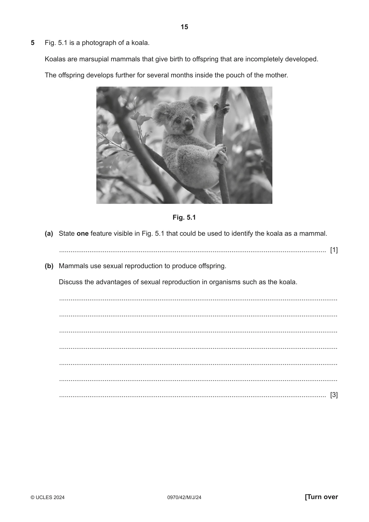 Cambridge IGCSE Biology (9-1) 0970 2024 May/June Paper 4 · Variant 2 question paper, page 15 of 20