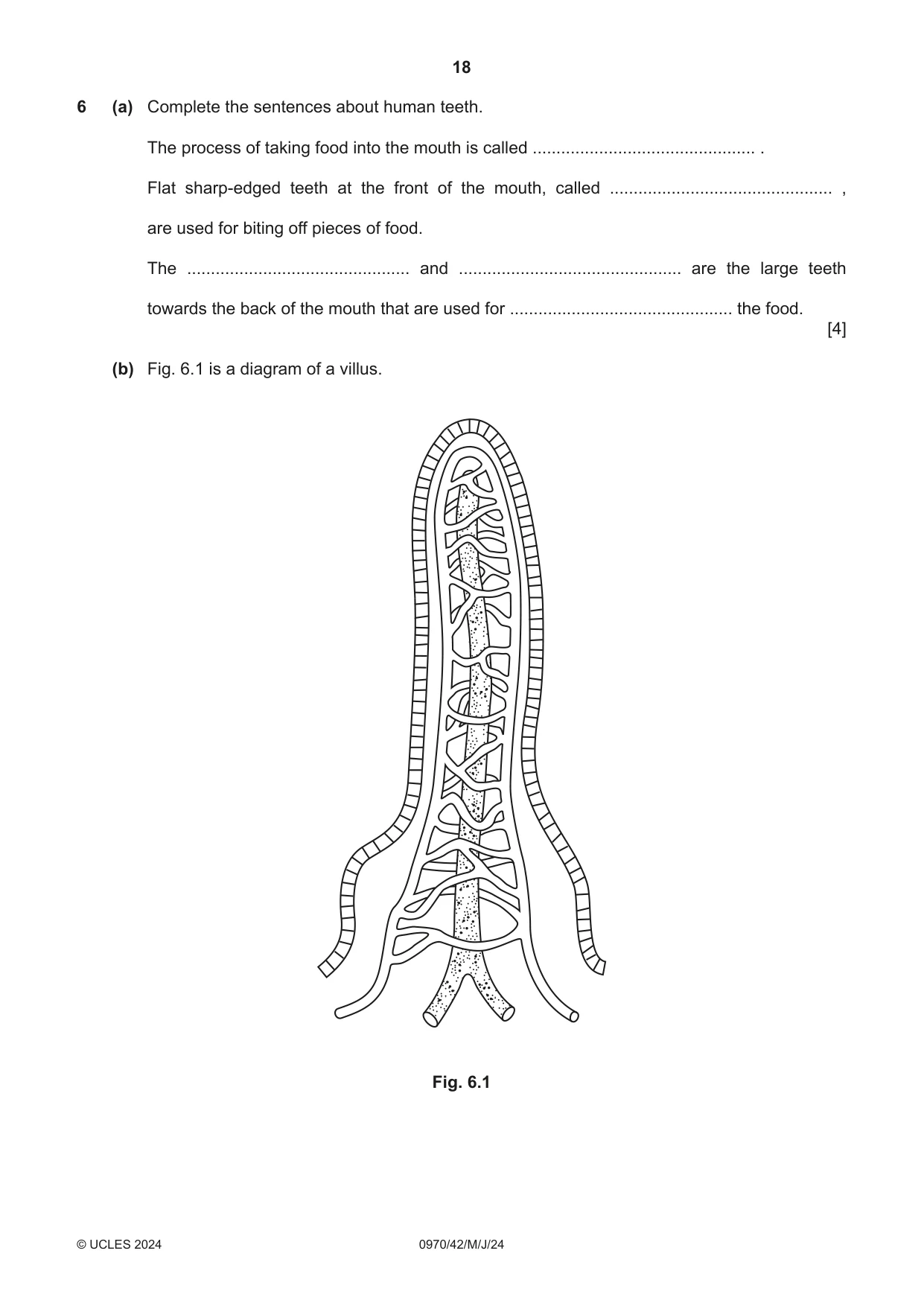 Cambridge IGCSE Biology (9-1) 0970 2024 May/June Paper 4 · Variant 2 question paper, page 18 of 20