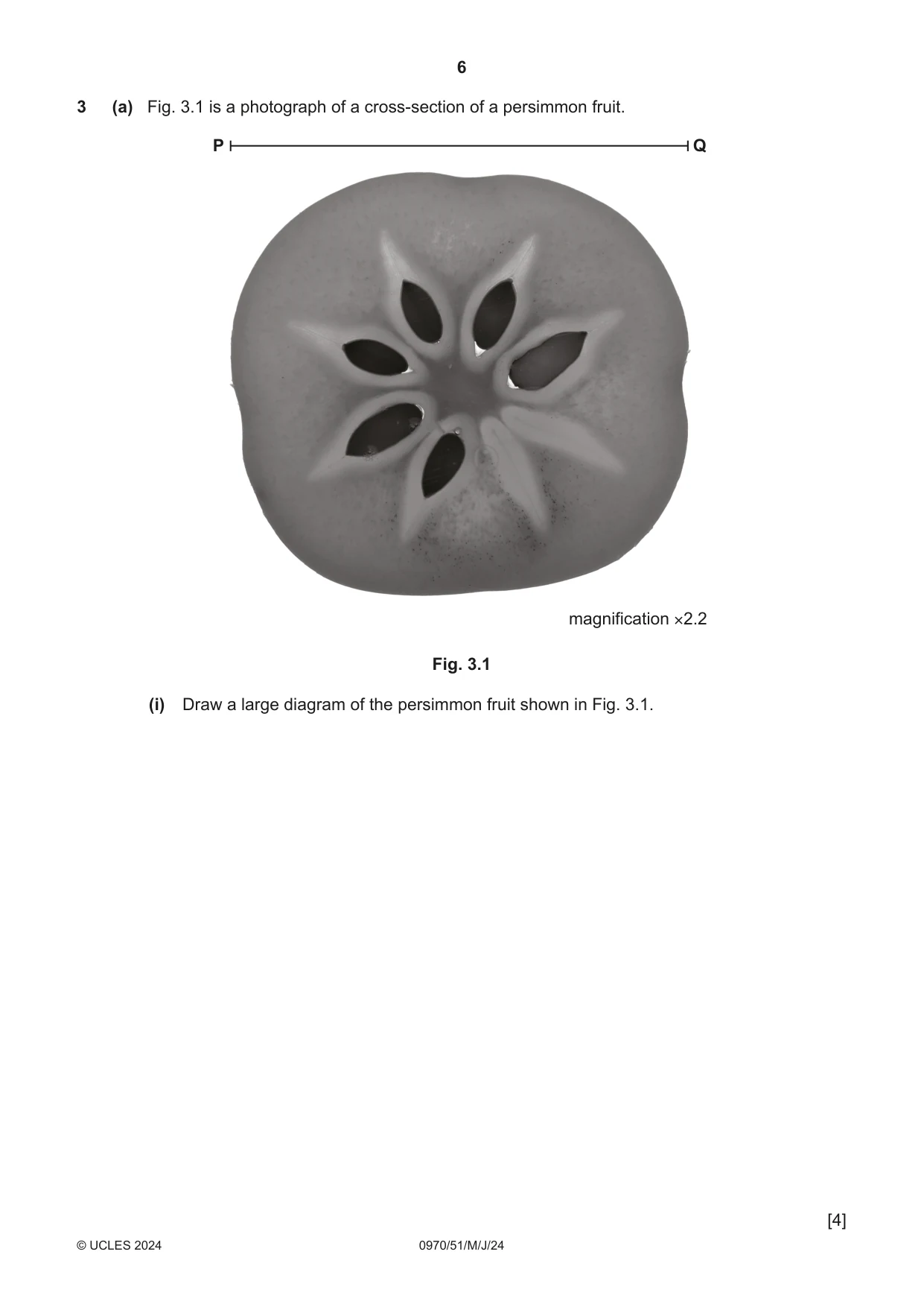 Cambridge IGCSE Biology (9-1) 0970 2024 May/June Paper 5 · Variant 1 question paper, page 6 of 12