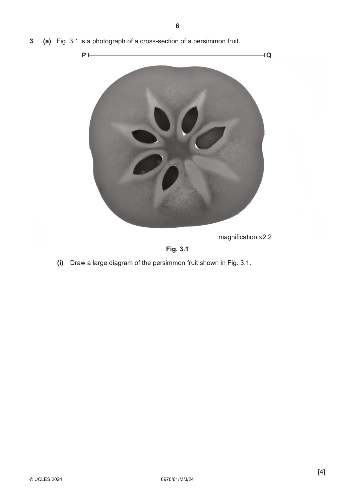 Cambridge IGCSE Biology (9-1) 0970 2024 May/June Paper 6 · Variant 1 question paper, page 6 of 12
