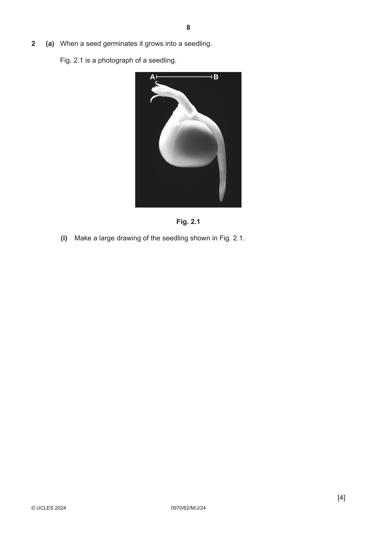 Cambridge IGCSE Biology (9-1) 0970 2024 May/June Paper 6 · Variant 2 question paper, page 8 of 12