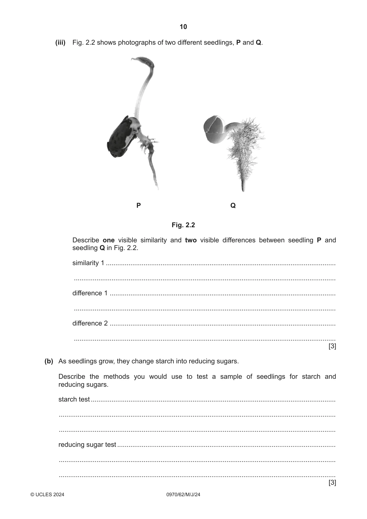 Cambridge IGCSE Biology (9-1) 0970 2024 May/June Paper 6 · Variant 2 question paper, page 10 of 12