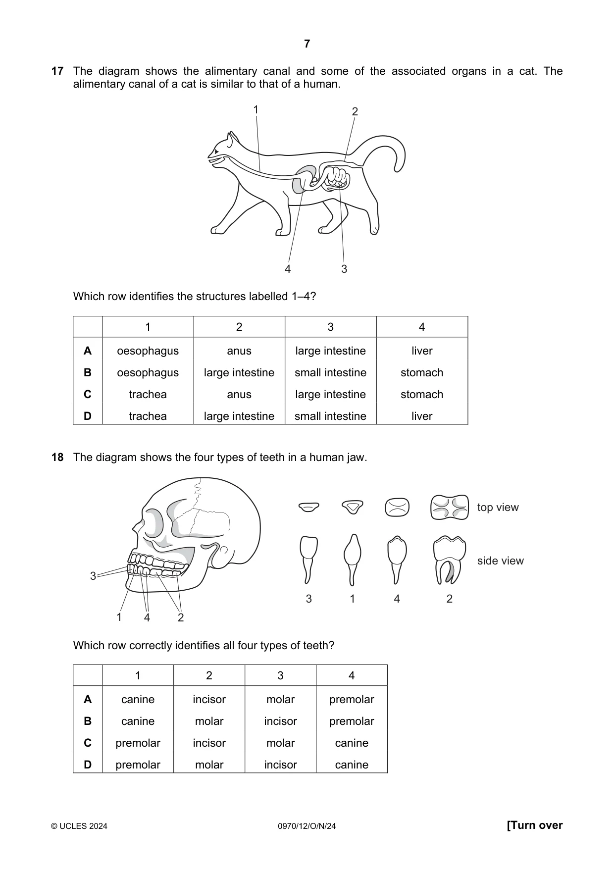 Cambridge IGCSE Biology (9-1) 0970 2024 Oct/Nov Paper 1 · Variant 2 question paper, page 7 of 16