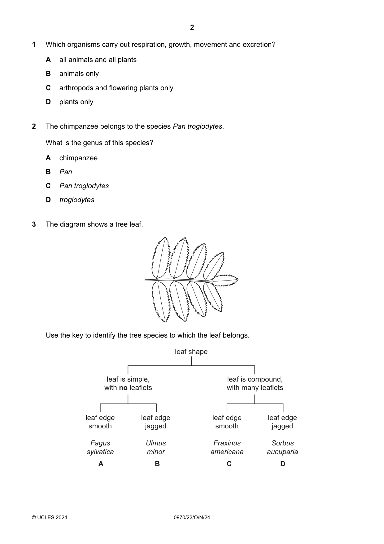 Cambridge IGCSE Biology (9-1) 0970 2024 Oct/Nov Paper 2 · Variant 2 question paper, page 2 of 16