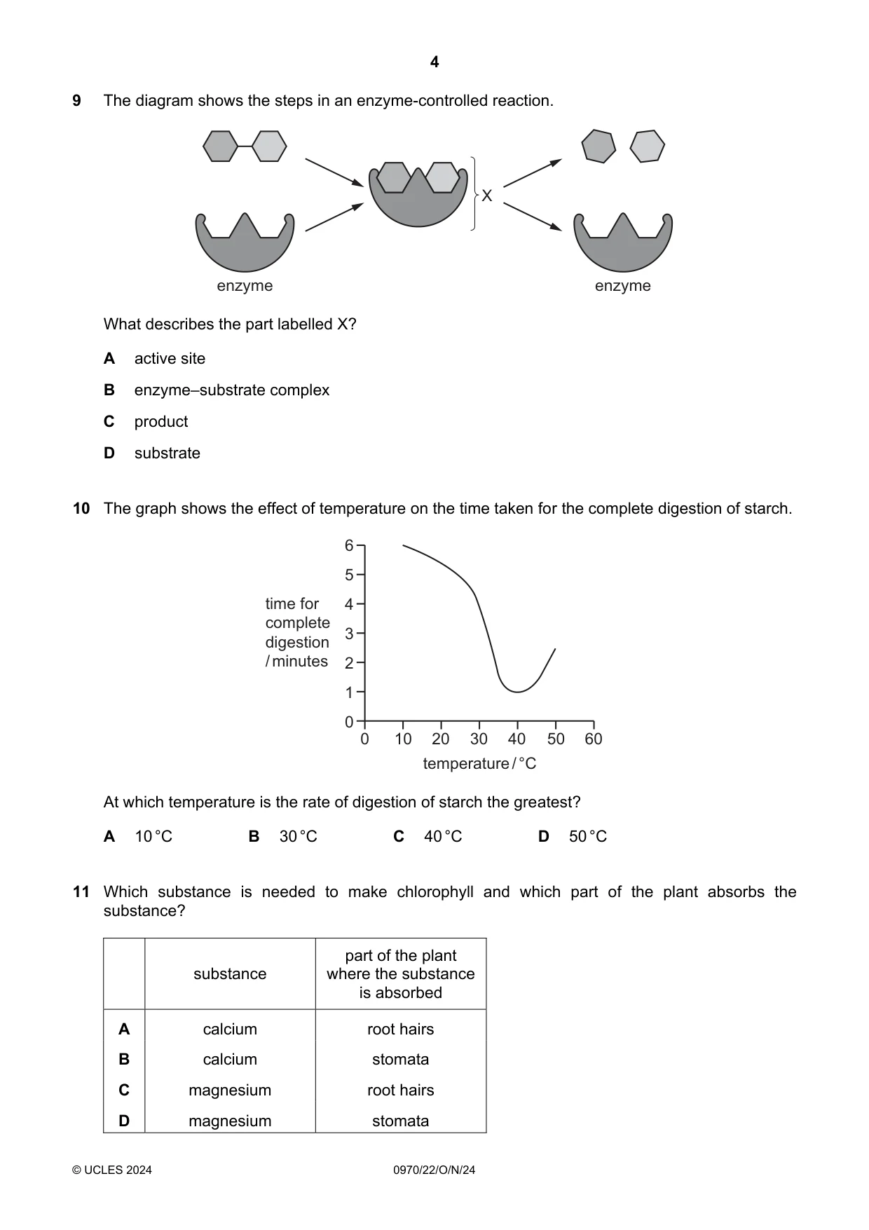 Cambridge IGCSE Biology (9-1) 0970 2024 Oct/Nov Paper 2 · Variant 2 question paper, page 4 of 16
