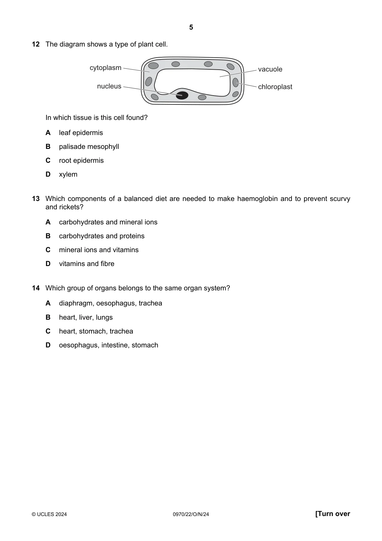 Cambridge IGCSE Biology (9-1) 0970 2024 Oct/Nov Paper 2 · Variant 2 question paper, page 5 of 16