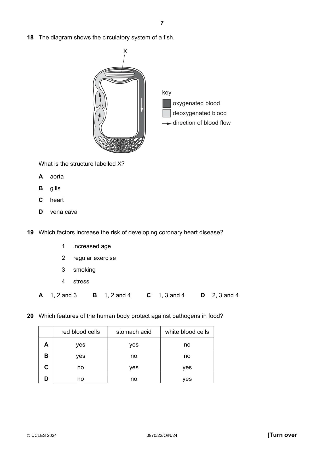 Cambridge IGCSE Biology (9-1) 0970 2024 Oct/Nov Paper 2 · Variant 2 question paper, page 7 of 16