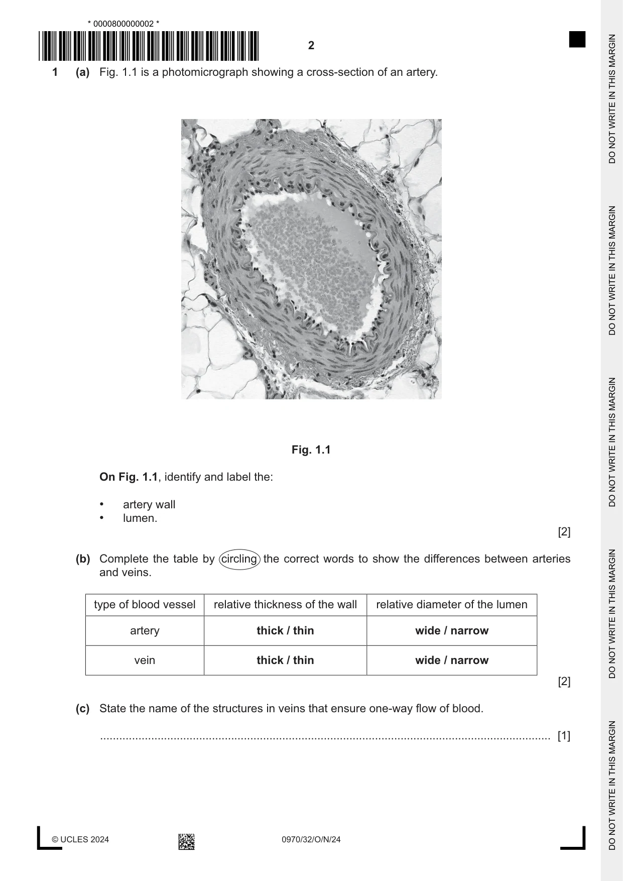 Cambridge IGCSE Biology (9-1) 0970 2024 Oct/Nov Paper 3 · Variant 2 question paper, page 2 of 16