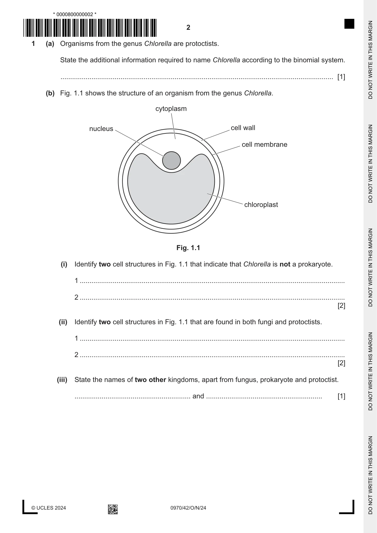 Cambridge IGCSE Biology (9-1) 0970 2024 Oct/Nov Paper 4 · Variant 2 question paper, page 2 of 16