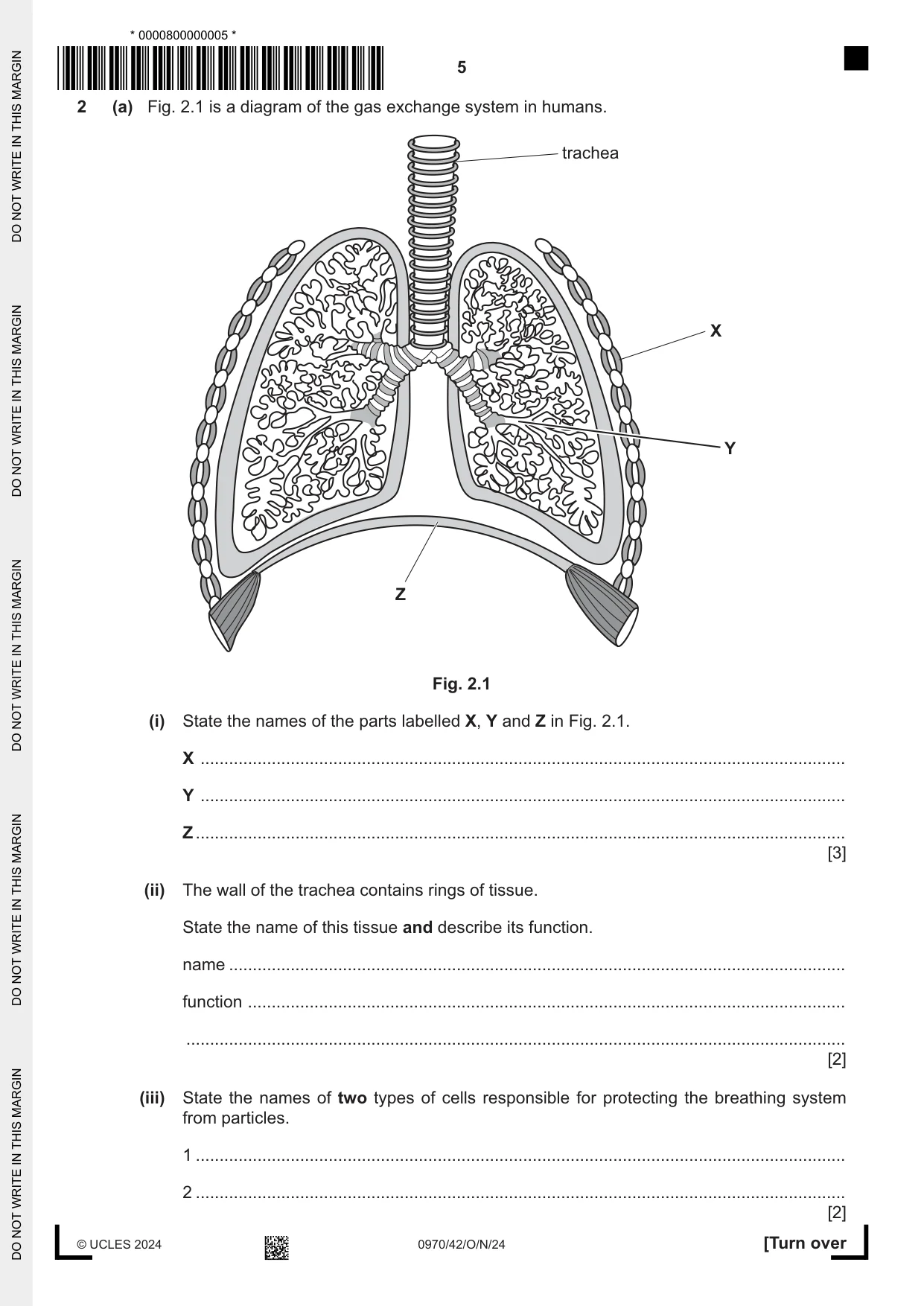 Cambridge IGCSE Biology (9-1) 0970 2024 Oct/Nov Paper 4 · Variant 2 question paper, page 5 of 16