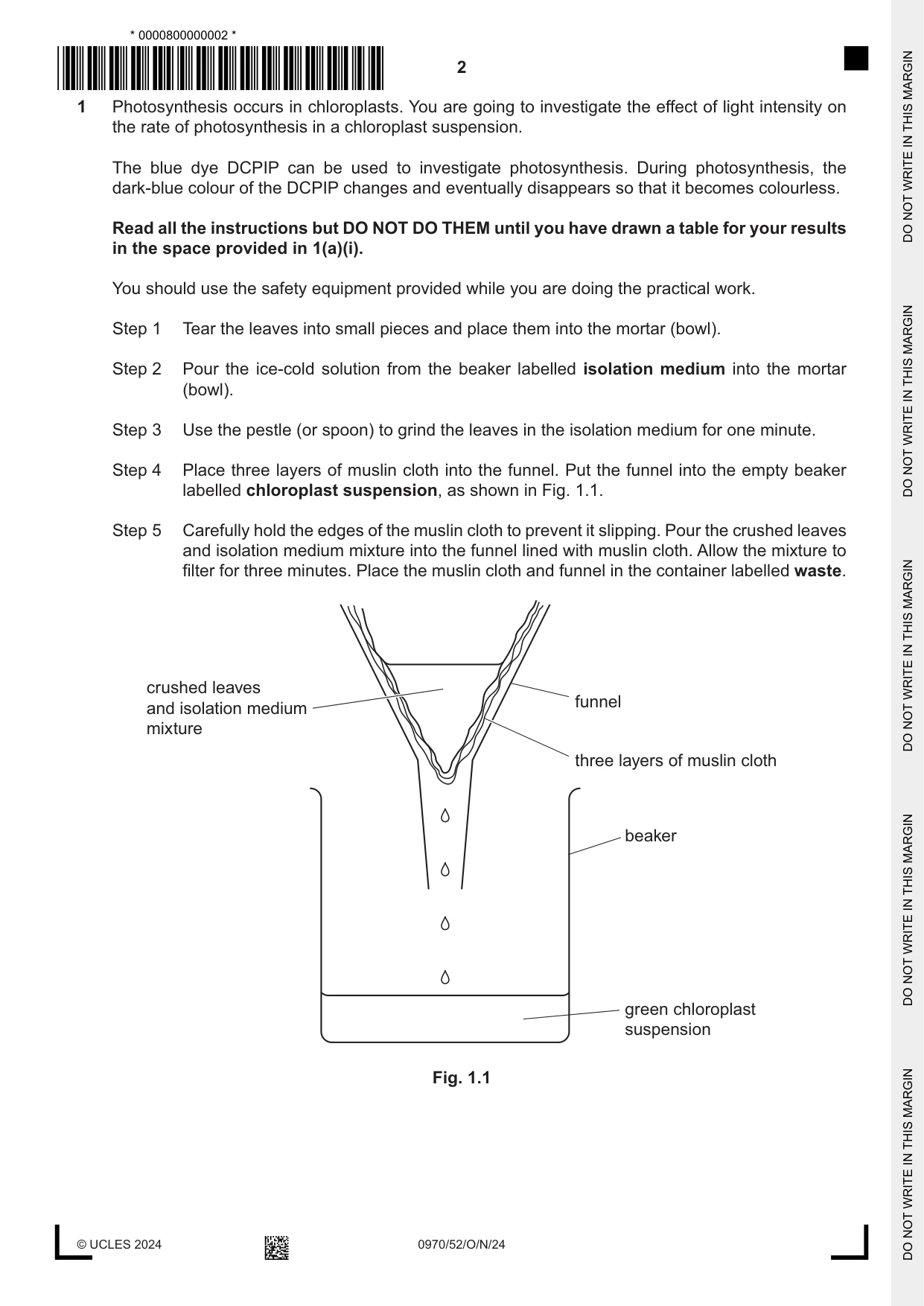 Cambridge IGCSE Biology (9-1) 0970 2024 Oct/Nov Paper 5 · Variant 2 question paper, page 2 of 16
