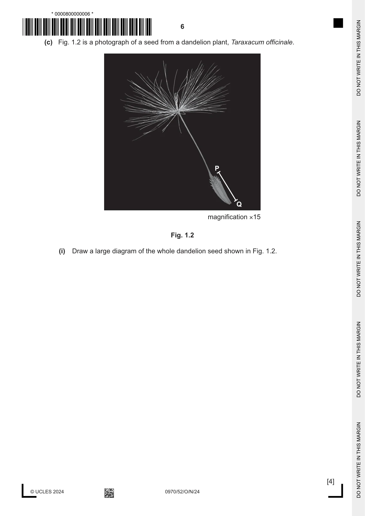 Cambridge IGCSE Biology (9-1) 0970 2024 Oct/Nov Paper 5 · Variant 2 question paper, page 6 of 16