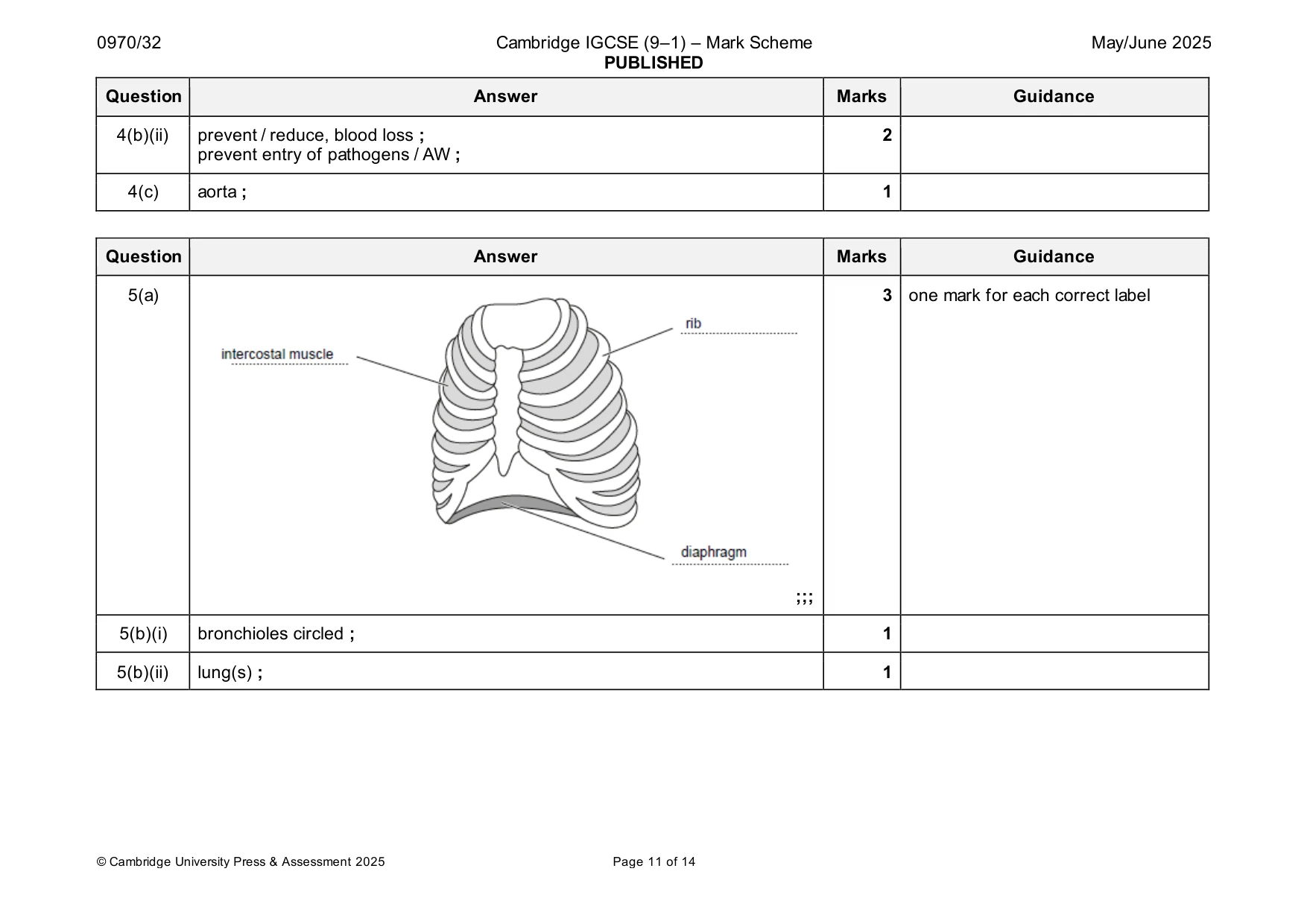 Mark scheme, page 11 of 14