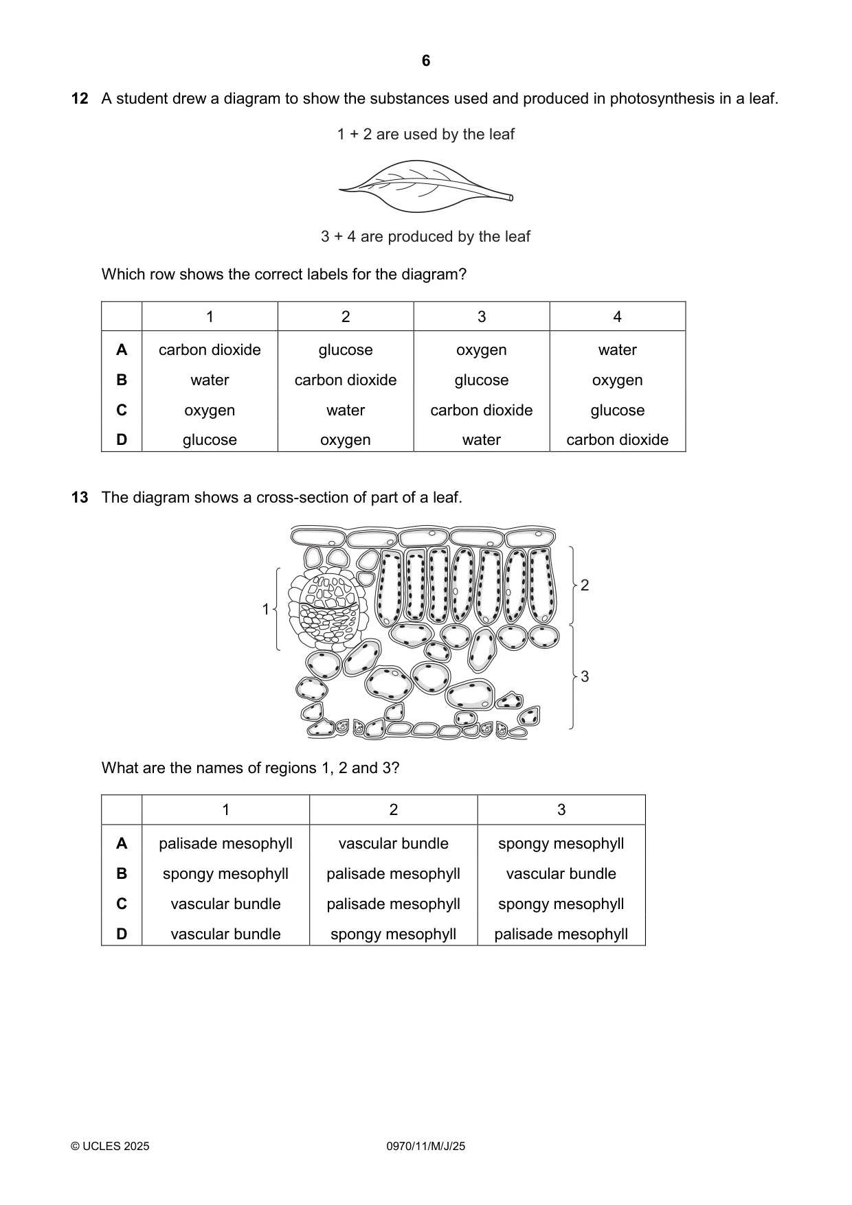Cambridge IGCSE Biology (9-1) 0970 2025 May/June Paper 1 · Variant 1 question paper, page 6 of 16