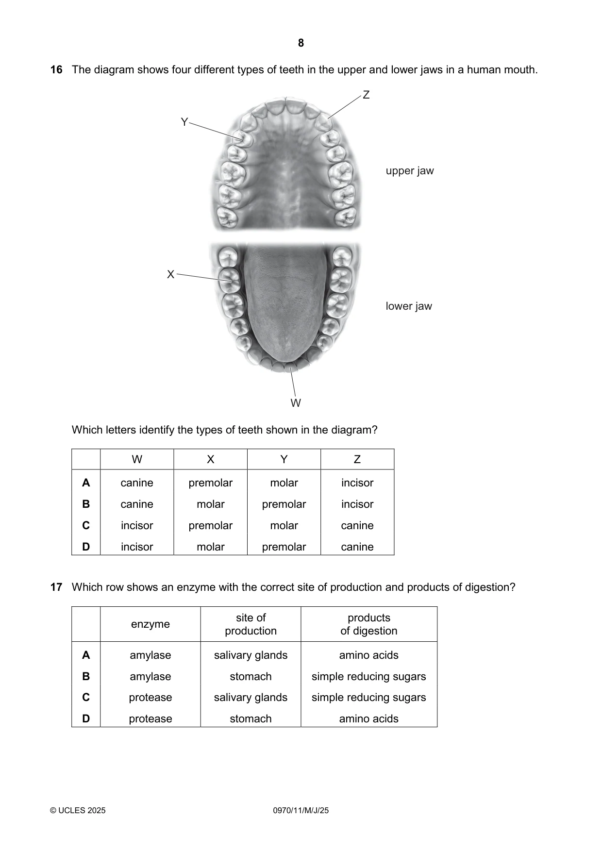 Cambridge IGCSE Biology (9-1) 0970 2025 May/June Paper 1 · Variant 1 question paper, page 8 of 16