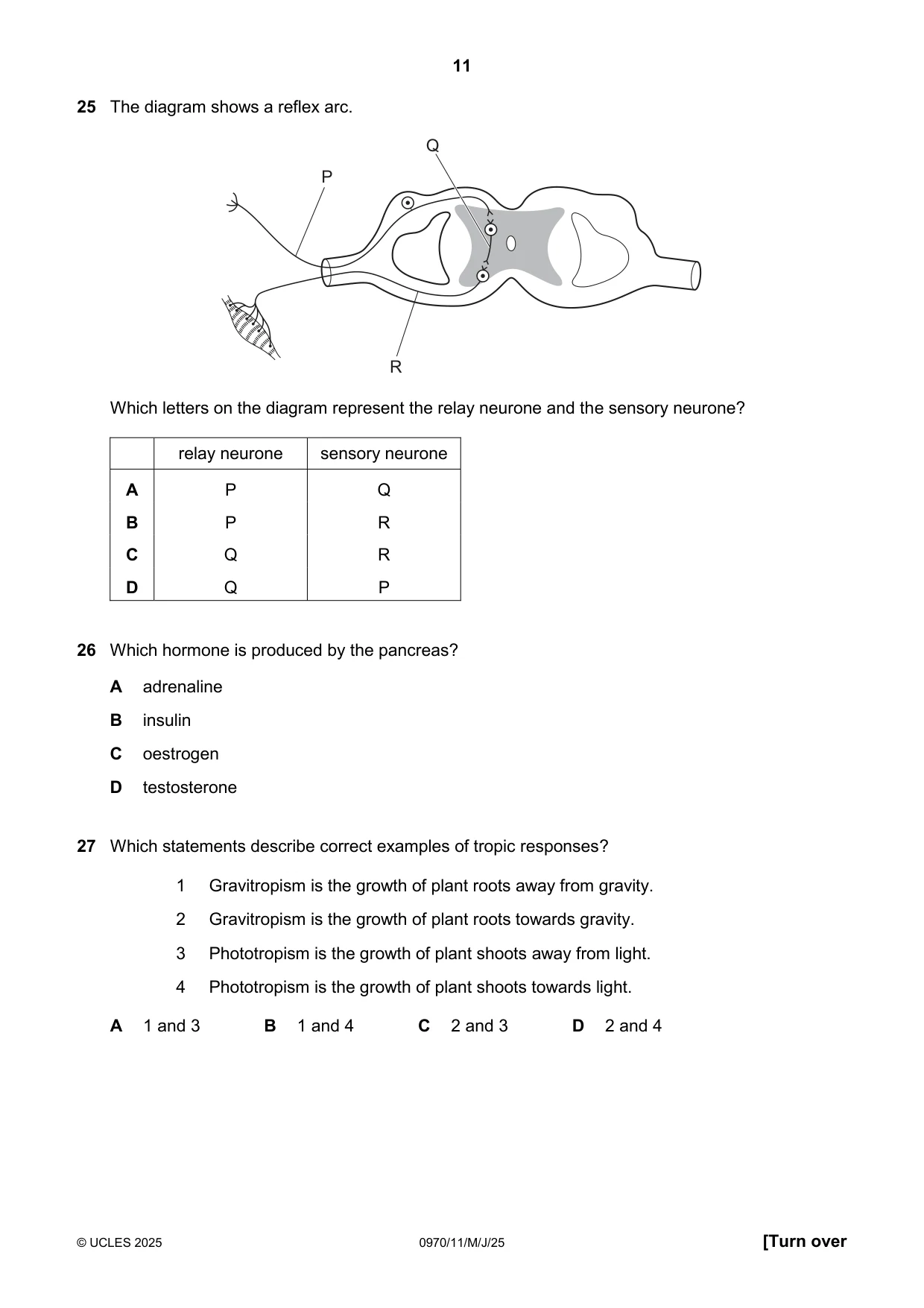 Cambridge IGCSE Biology (9-1) 0970 2025 May/June Paper 1 · Variant 1 question paper, page 11 of 16