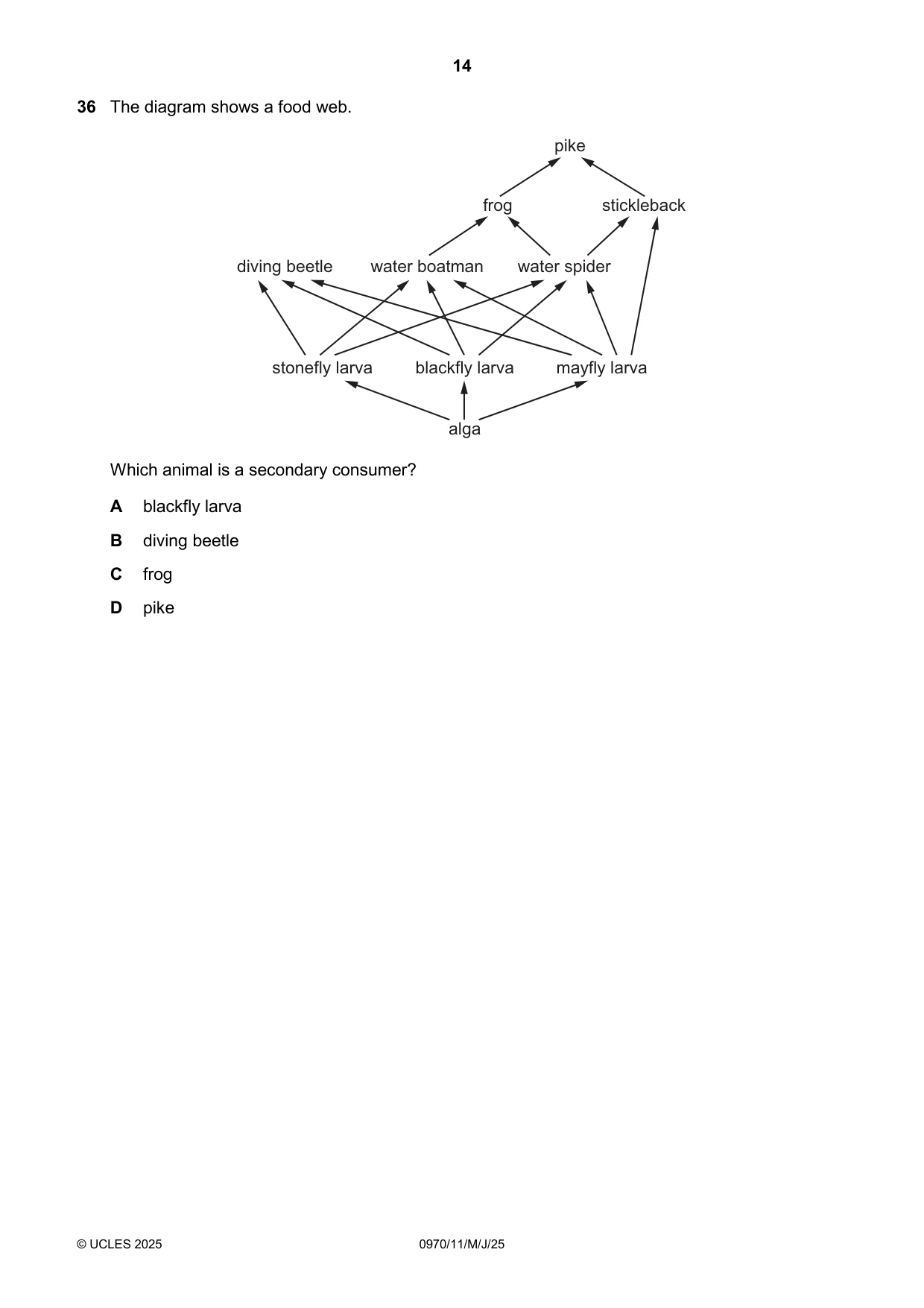 Cambridge IGCSE Biology (9-1) 0970 2025 May/June Paper 1 · Variant 1 question paper, page 14 of 16