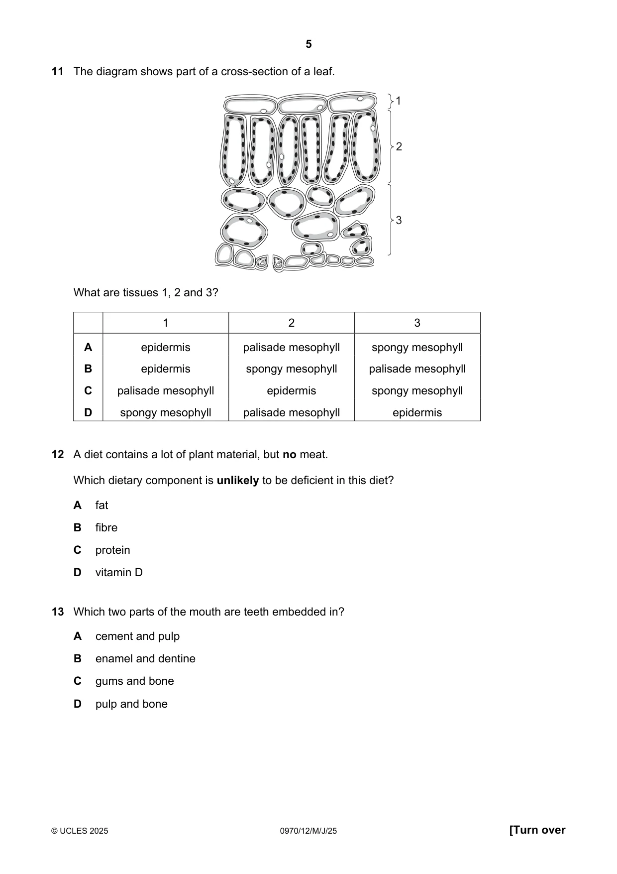 Cambridge IGCSE Biology (9-1) 0970 2025 May/June Paper 1 · Variant 2 question paper, page 5 of 16