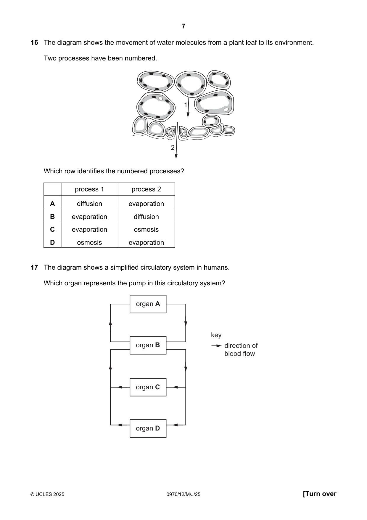 Cambridge IGCSE Biology (9-1) 0970 2025 May/June Paper 1 · Variant 2 question paper, page 7 of 16