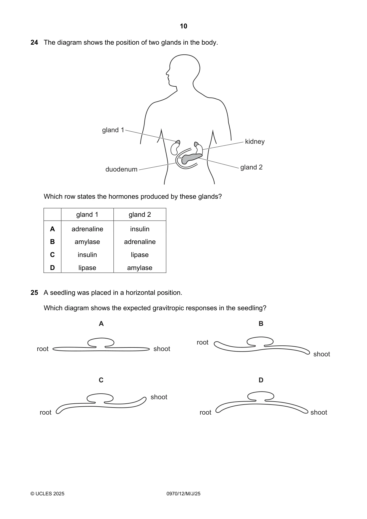 Cambridge IGCSE Biology (9-1) 0970 2025 May/June Paper 1 · Variant 2 question paper, page 10 of 16