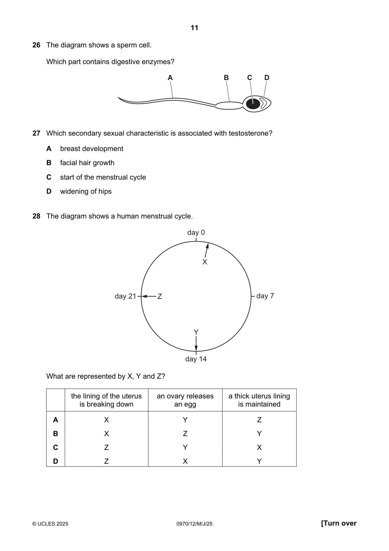 Cambridge IGCSE Biology (9-1) 0970 2025 May/June Paper 1 · Variant 2 question paper, page 11 of 16