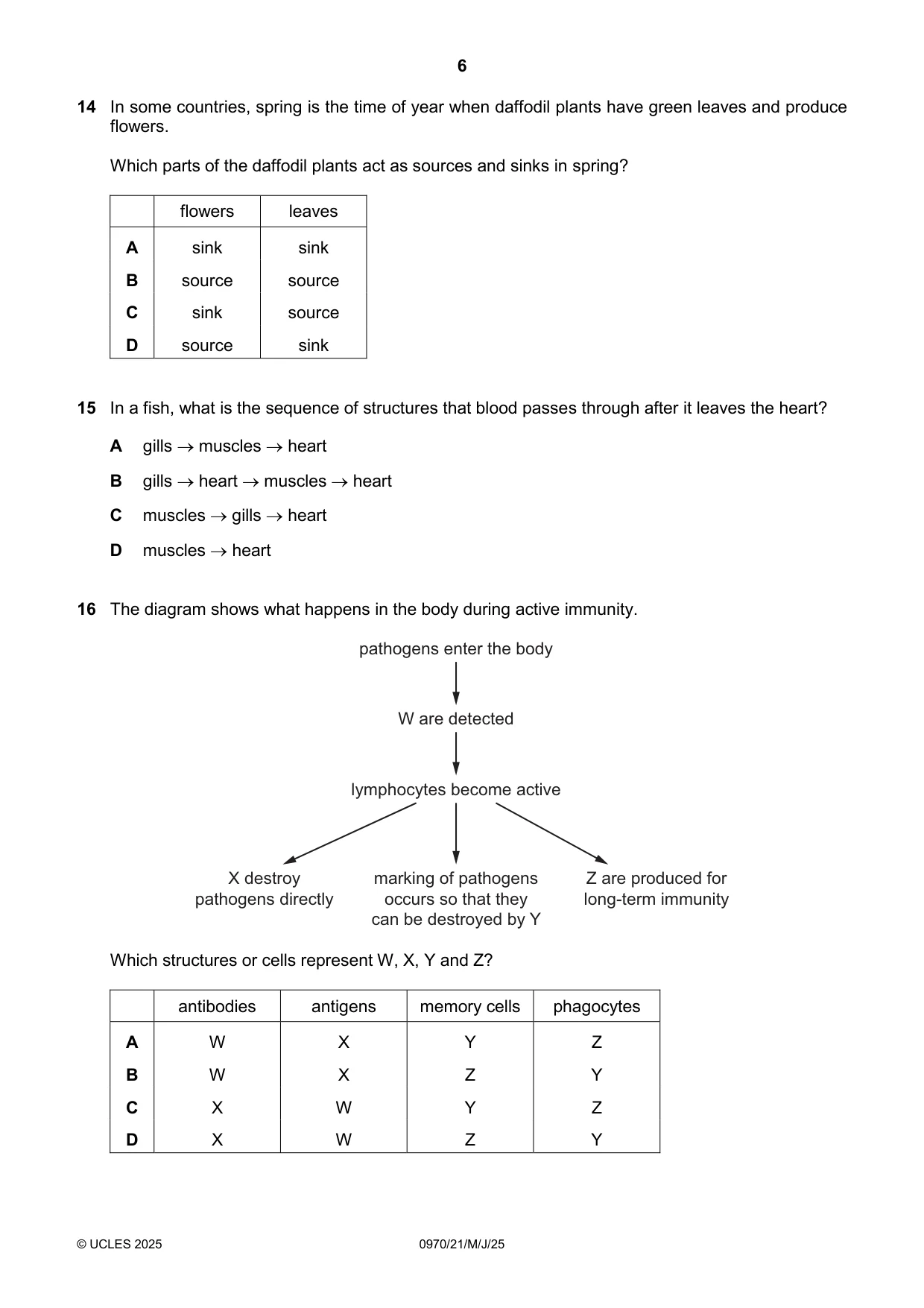 Cambridge IGCSE Biology (9-1) 0970 2025 May/June Paper 2 · Variant 1 question paper, page 6 of 16