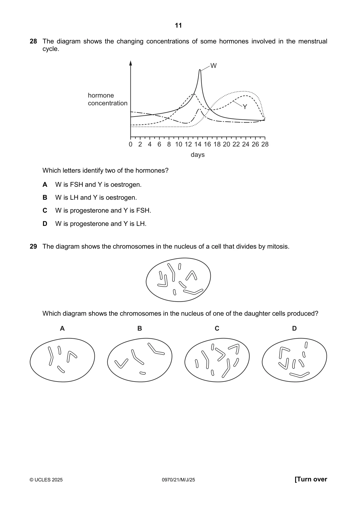Cambridge IGCSE Biology (9-1) 0970 2025 May/June Paper 2 · Variant 1 question paper, page 11 of 16