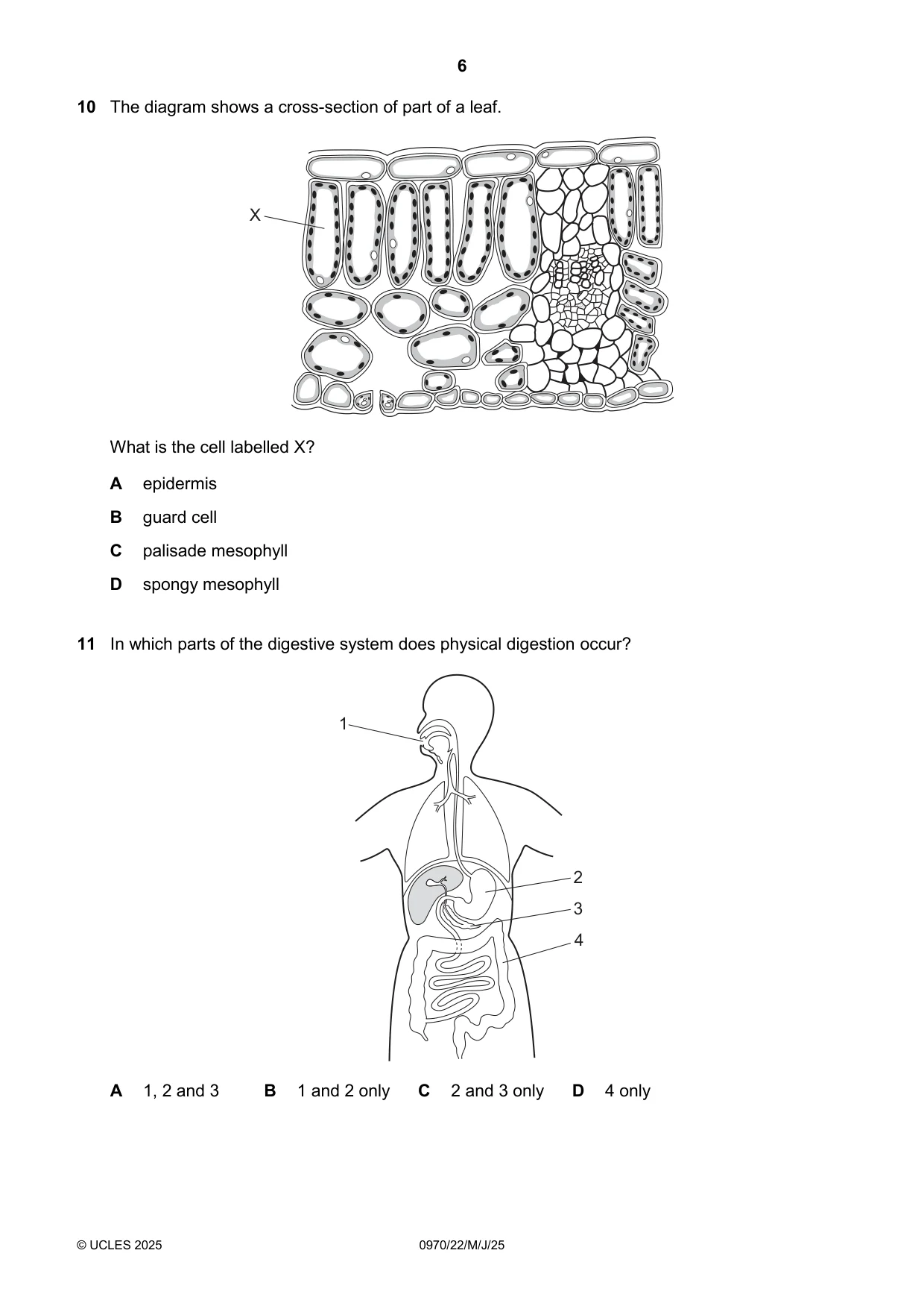 Cambridge IGCSE Biology (9-1) 0970 2025 May/June Paper 2 · Variant 2 question paper, page 6 of 16