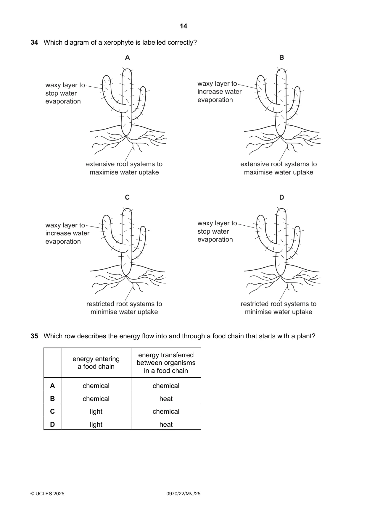 Cambridge IGCSE Biology (9-1) 0970 2025 May/June Paper 2 · Variant 2 question paper, page 14 of 16