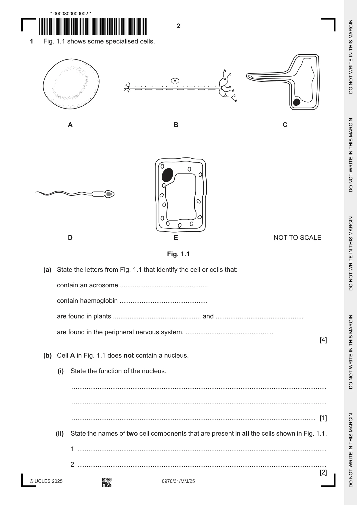 Cambridge IGCSE Biology (9-1) 0970 2025 May/June Paper 3 · Variant 1 question paper, page 2 of 20