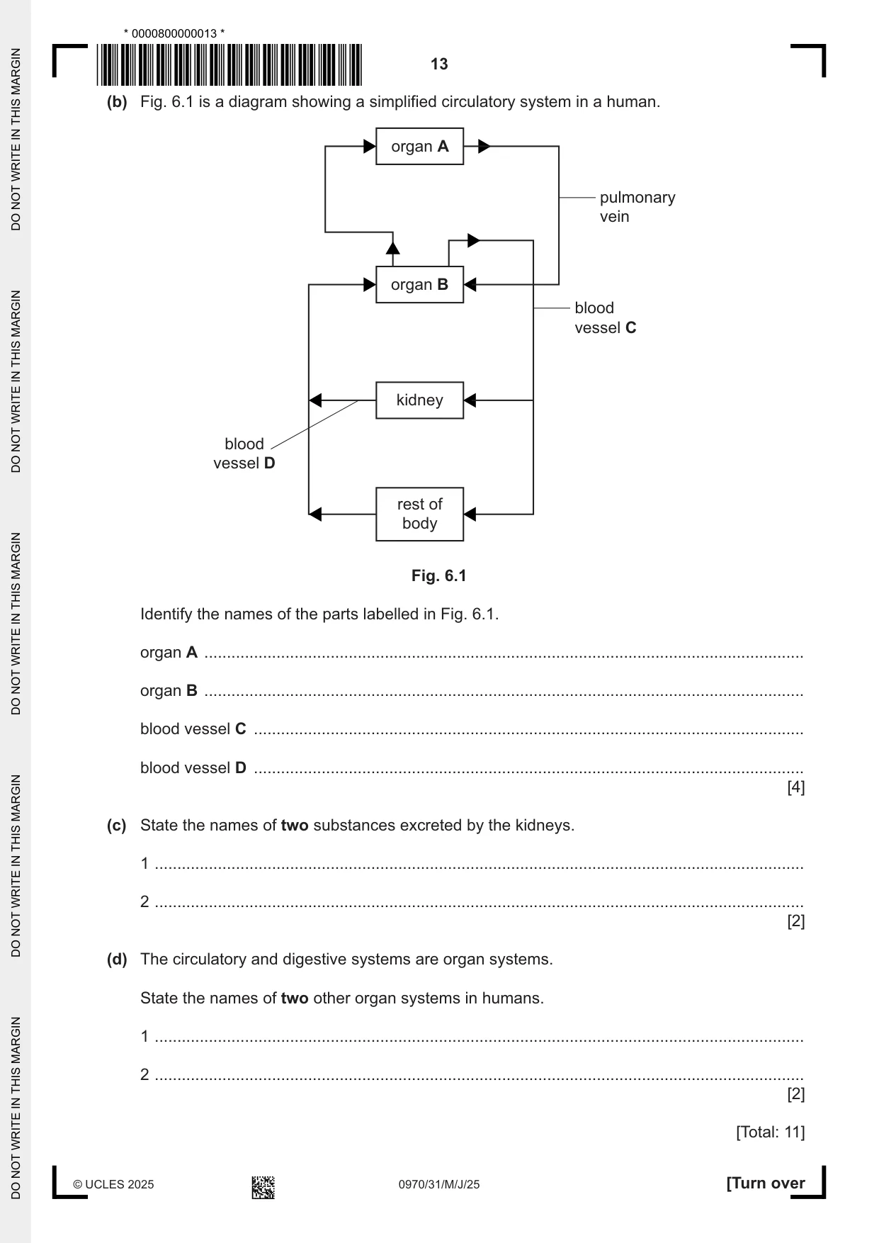 Cambridge IGCSE Biology (9-1) 0970 2025 May/June Paper 3 · Variant 1 question paper, page 13 of 20
