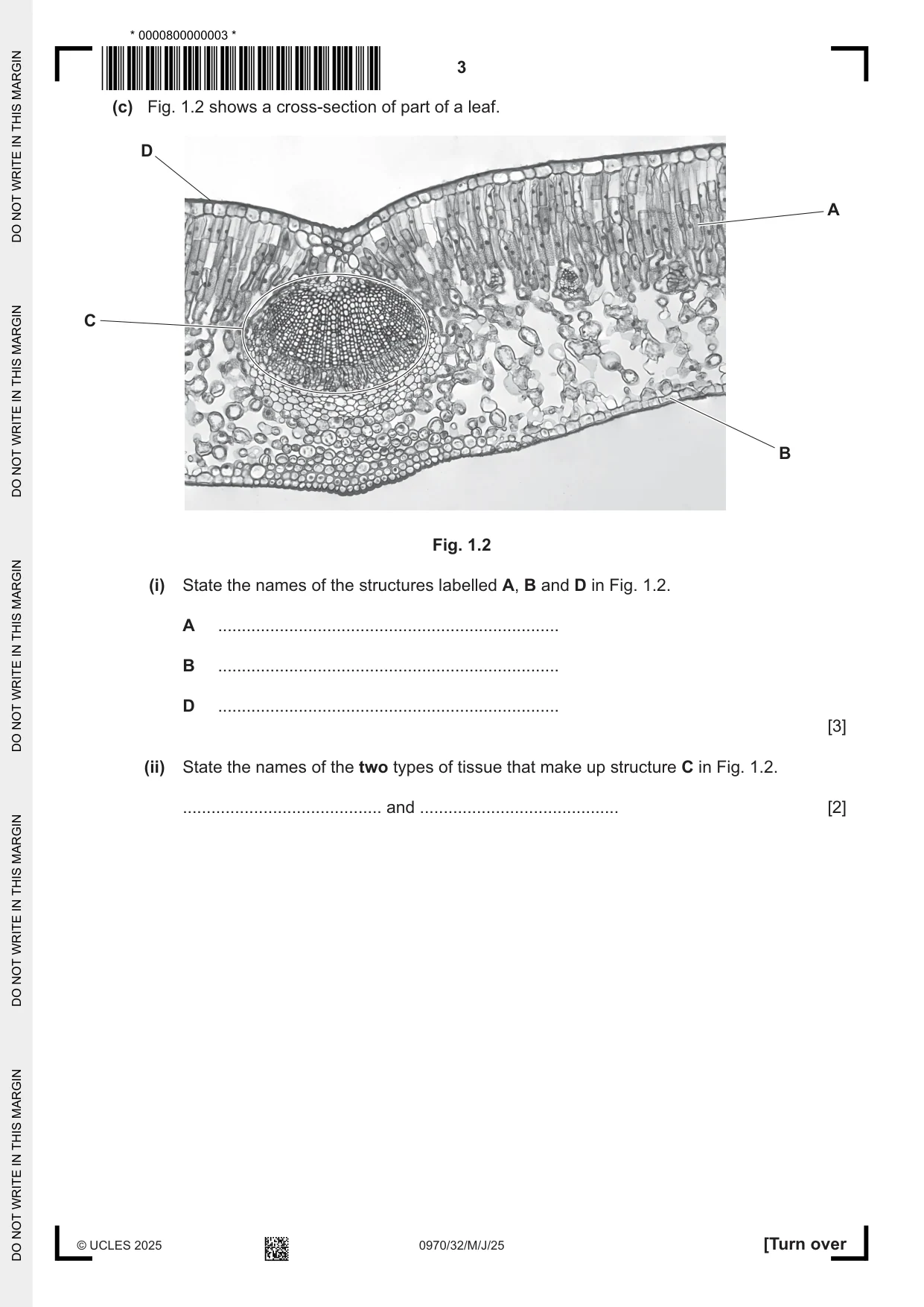 Cambridge IGCSE Biology (9-1) 0970 2025 May/June Paper 3 · Variant 2 question paper, page 3 of 20