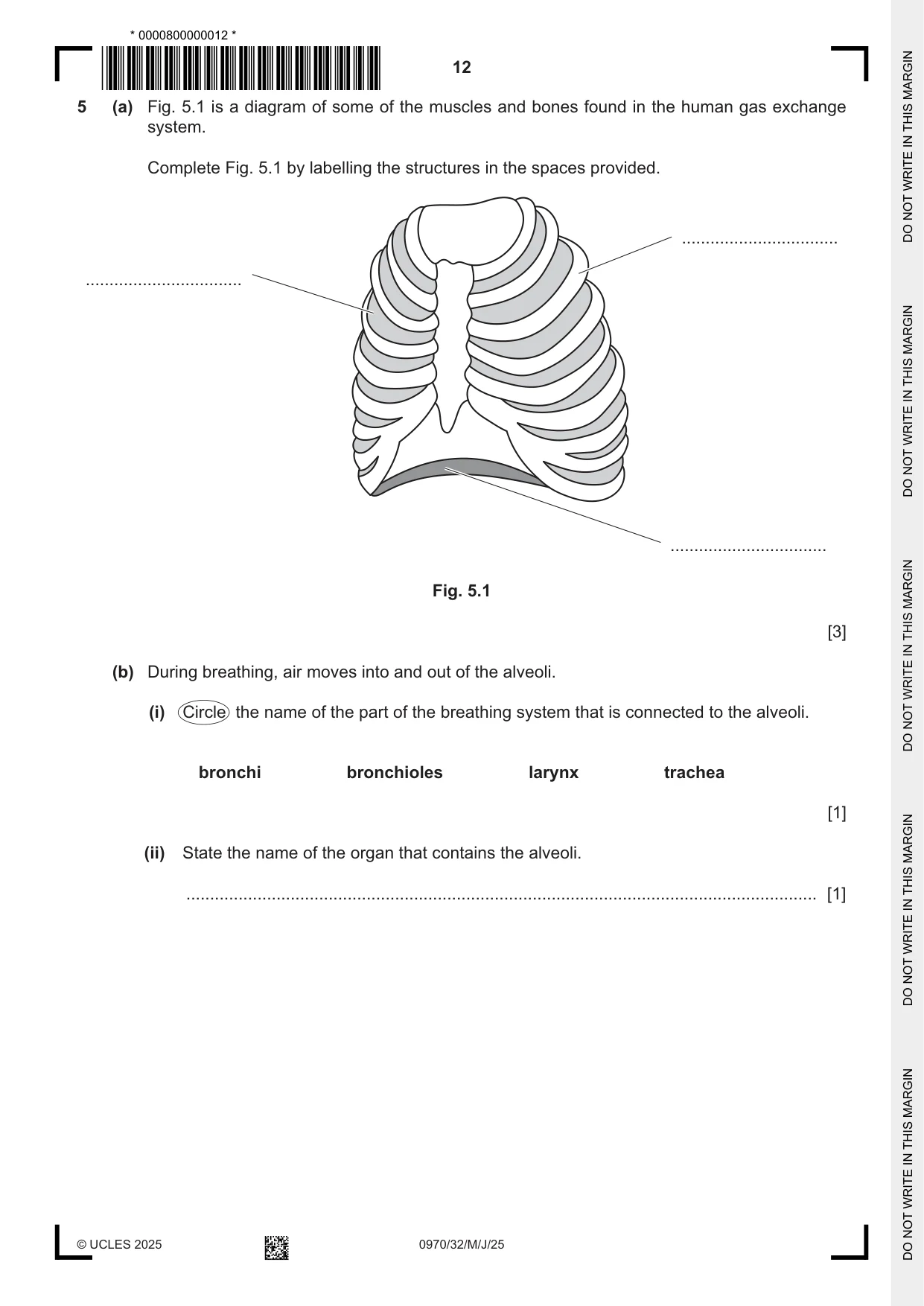 Cambridge IGCSE Biology (9-1) 0970 2025 May/June Paper 3 · Variant 2 question paper, page 12 of 20