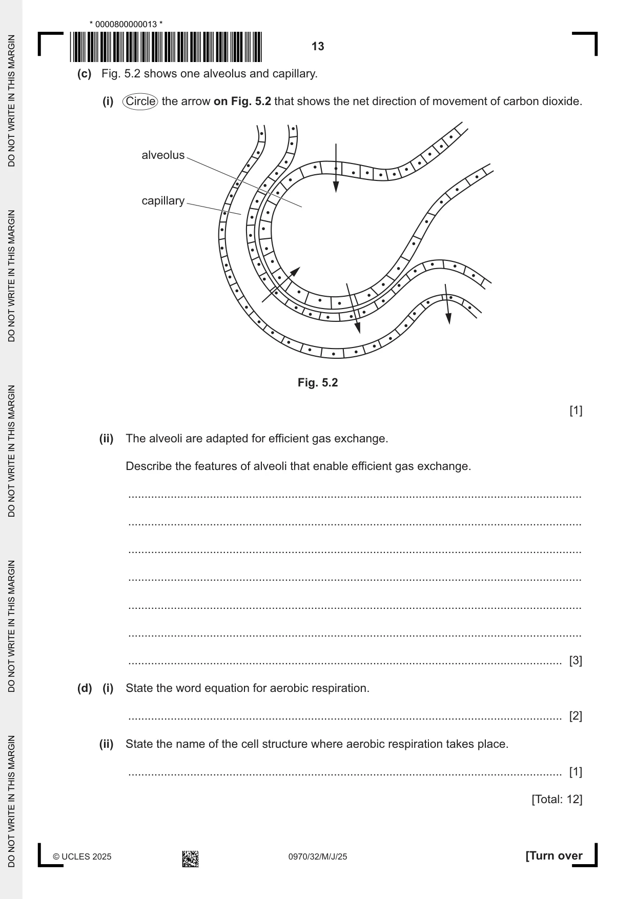 Cambridge IGCSE Biology (9-1) 0970 2025 May/June Paper 3 · Variant 2 question paper, page 13 of 20