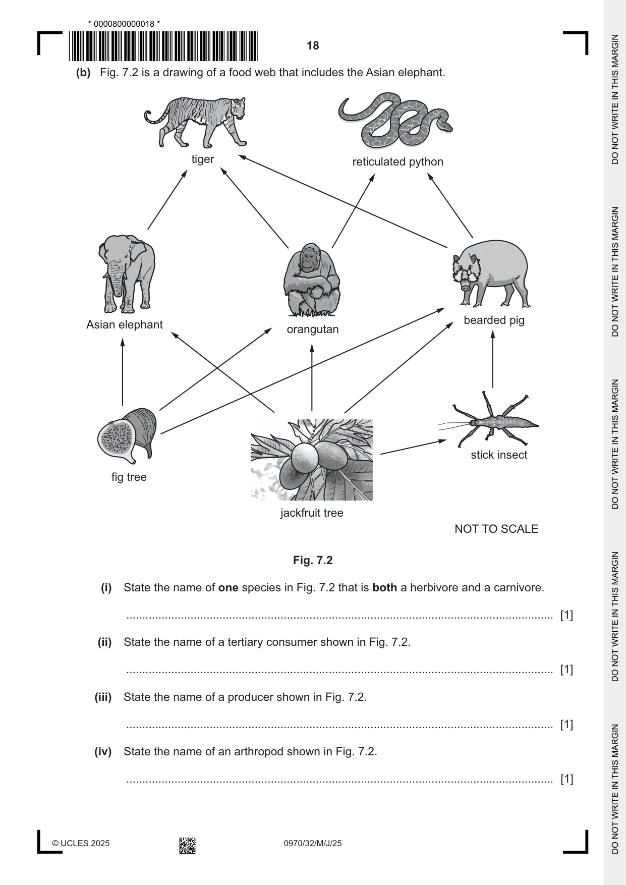 Cambridge IGCSE Biology (9-1) 0970 2025 May/June Paper 3 · Variant 2 question paper, page 18 of 20