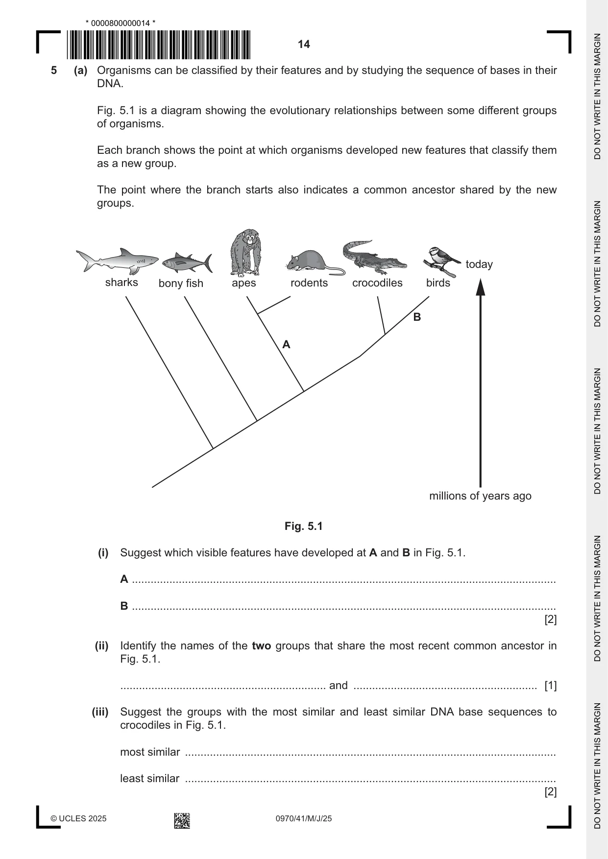 Cambridge IGCSE Biology (9-1) 0970 2025 May/June Paper 4 · Variant 1 question paper, page 14 of 20