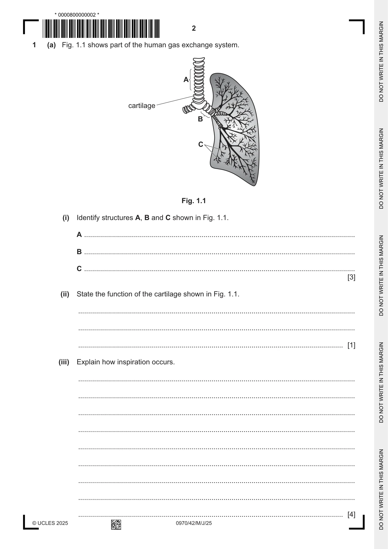 Cambridge IGCSE Biology (9-1) 0970 2025 May/June Paper 4 · Variant 2 question paper, page 2 of 16