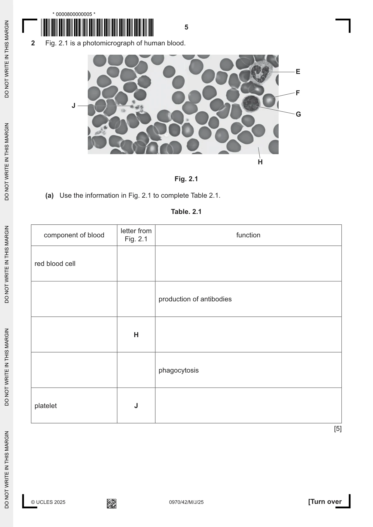 Cambridge IGCSE Biology (9-1) 0970 2025 May/June Paper 4 · Variant 2 question paper, page 5 of 16