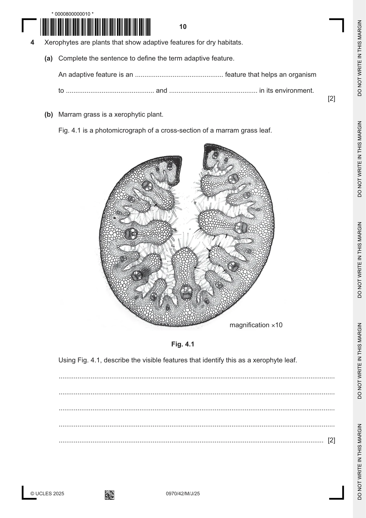 Cambridge IGCSE Biology (9-1) 0970 2025 May/June Paper 4 · Variant 2 question paper, page 10 of 16